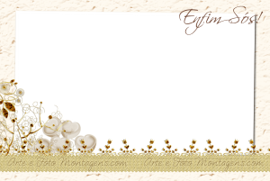 Noivos, 'Enfim Sós', ornamento dourado elegante.