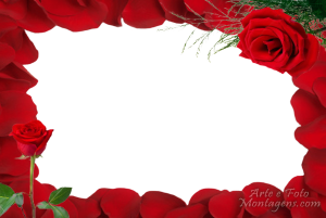 Buquê rosas vermelhas, moldura coração, fundo vermelho.