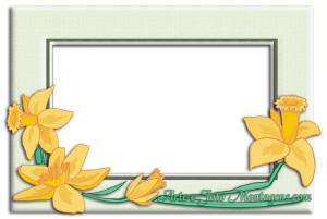 Flores amarelas.