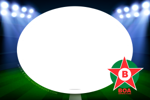 Escudo time Boa Esporte, Coruja, vermelho e verde.