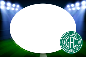 Escudo time Guarani, Índio, verde e branco.