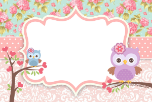 Duas corujinhas (rosa e azul), moldura rosa borda recortada, fundo rosa estampado.