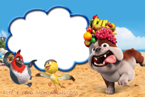 Bulldog Luiz, pássaros Nico e Pedro (Rio), praia, moldura azul formato balão fala.